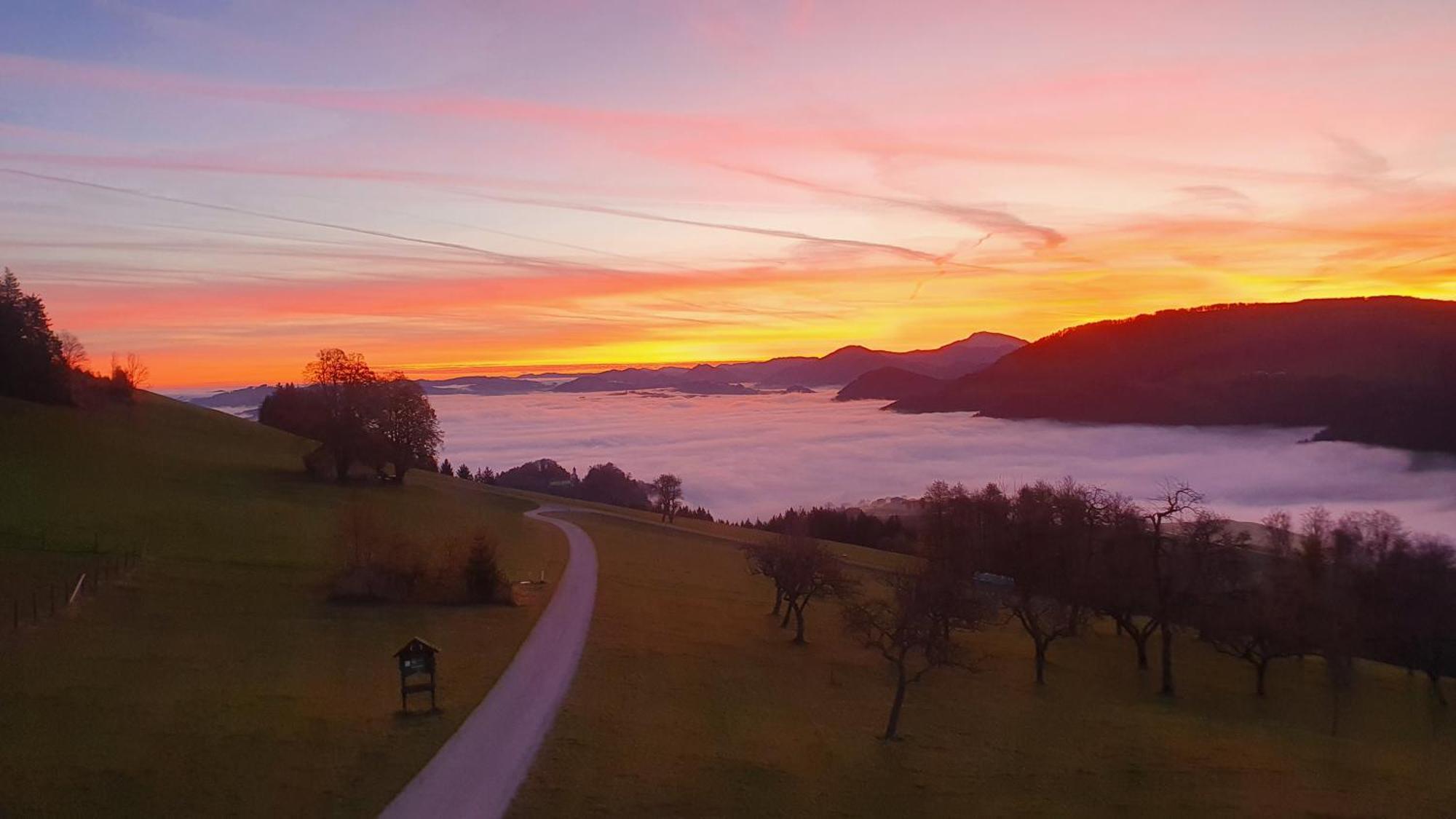 Apartmán Mitterhirschberg, Familie Schweighuber Waidhofen an der Ybbs Exteriér fotografie